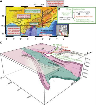 Geodynamic Modeling of Edge-Delamination Driven by Subduction-Transform Edge Propagator Faults: The Westernmost Mediterranean Margin (Central Betic Orogen) Case Study